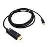ADAPTATEUR HUB USB-C VERS DISPLAYPORT 4K ULTRA 60HZ CÂBLE LONG