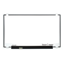 Schermo portatile B173RTN02.2, Schermo portatile B173RTN02.2