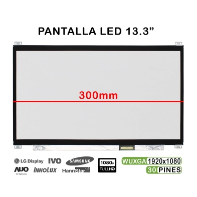 Schermo LED portatile da 13,3" N133HCE-EN2 REV.C1 Full HD 30 Pin
