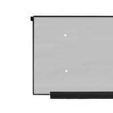Schermo LED portatile da 17,3" NE173FHM-NZ6 V8.0 360 Hz FHD 40 pin