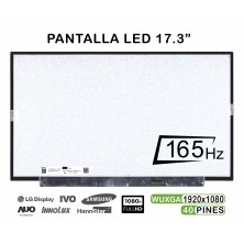 PANTALLA LED DE 17.3" PARA PORTÁTIL N173HME-GA1 FHD 165HZ