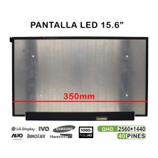 SCHERMO PER LAPTOP DA 15,6" NE156QHM-NY1 LED 2560X1440