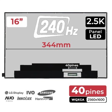 Écran pour portable 16" NE160QDM-NZB V8.0