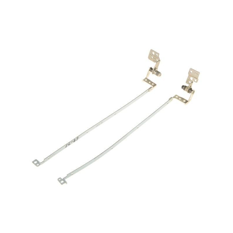 Cerniere per laptop Acer Aspire serie 5741 | M0C9000600