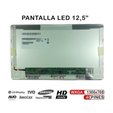 Schermo Led Portatile 12,5 B125xw02