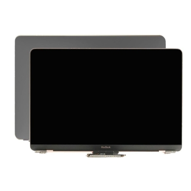 Schermo intero 12" Apple MacBook A1534 12" inizio 2016 Grigio