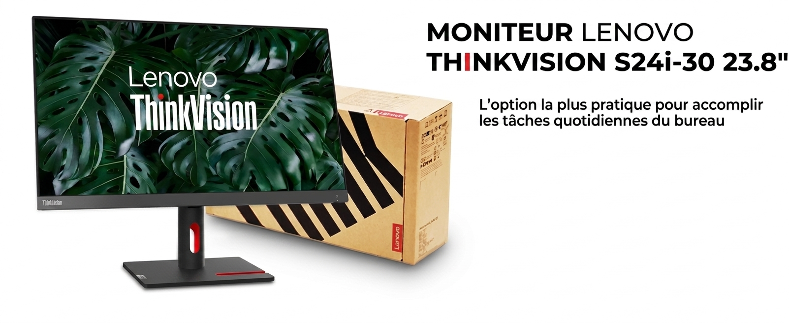 Moniteur Lenovo ThinkVision 23,8 pouces Full HD