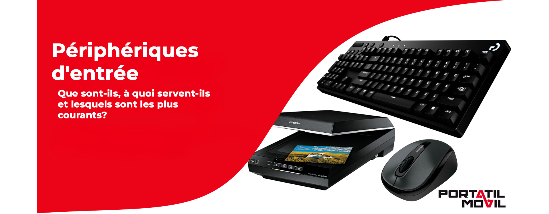 Périphériques d'entrée : que sont-ils, à quoi servent-ils et quels sont les plus courants ?