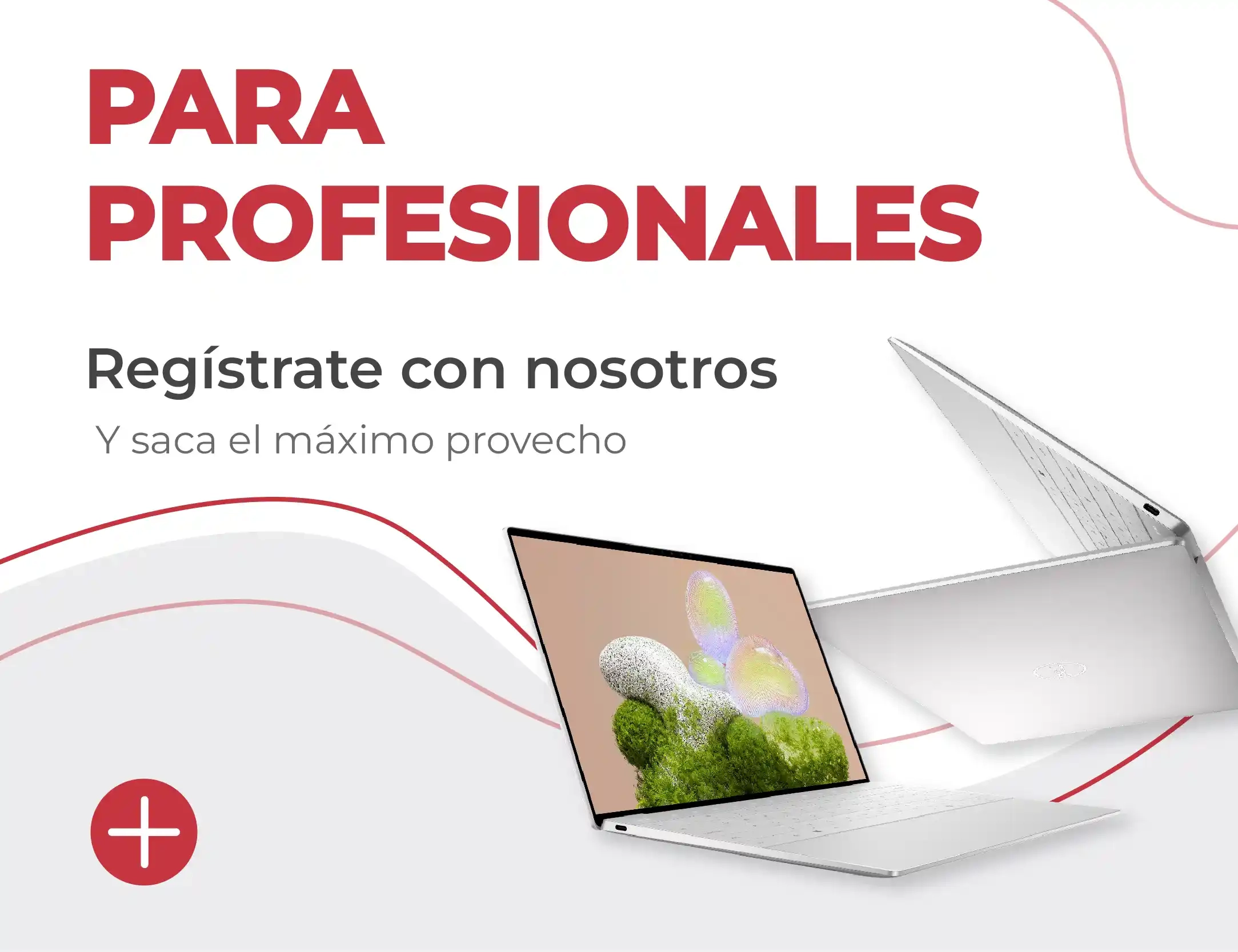 Ofertas para profesionales